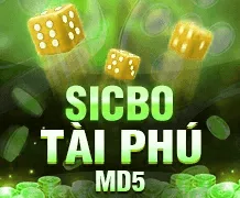 Banner1 png
